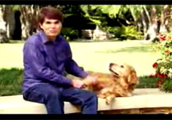 Dogs and the Darkest Evening of the Year Video