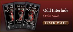 Odd Interlude