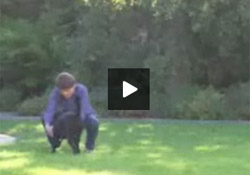 Dean Koontz Outtakes